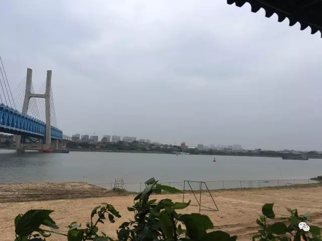 1493899956635613.jpg 2.webp.jpg