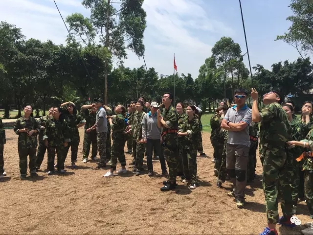 1493899981344421.jpg 1.webp.jpg