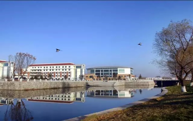 1499072902591202.jpg 12.webp.jpg