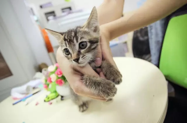 1503660637947729.jpg 22.webp.jpg