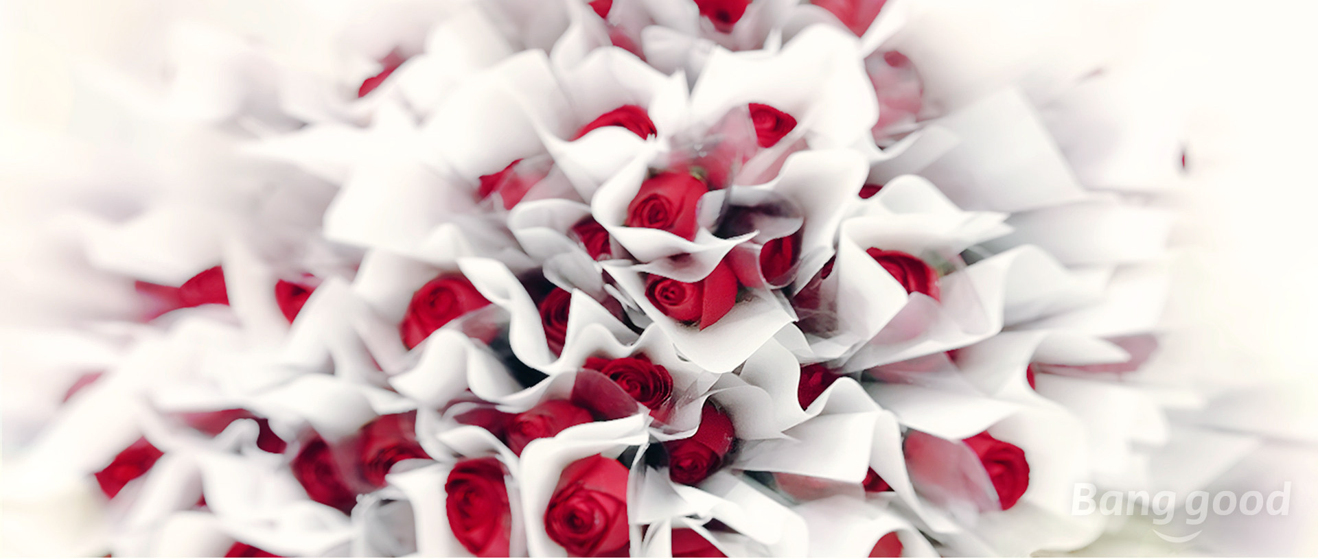 1520668863356594.jpg b63b5e38-93bf-416d-9525-13666f6380ab.jpg